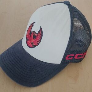 CCM Coachella Valley FireBirds Hat